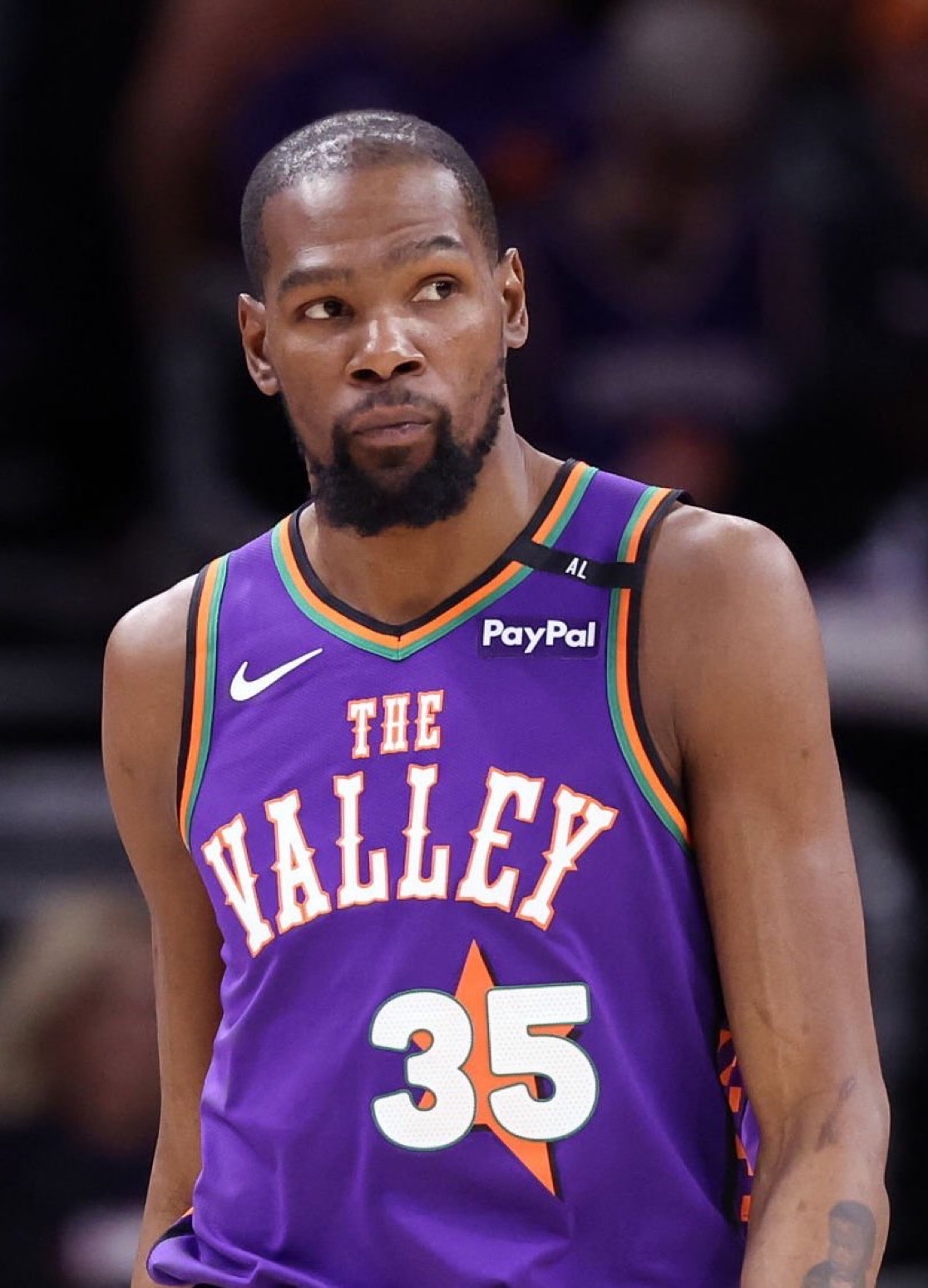 他们建立了 他们建立了